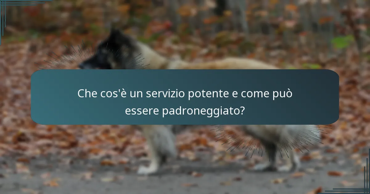 Che cos’è un servizio sottorete e quando dovrebbe essere utilizzato?