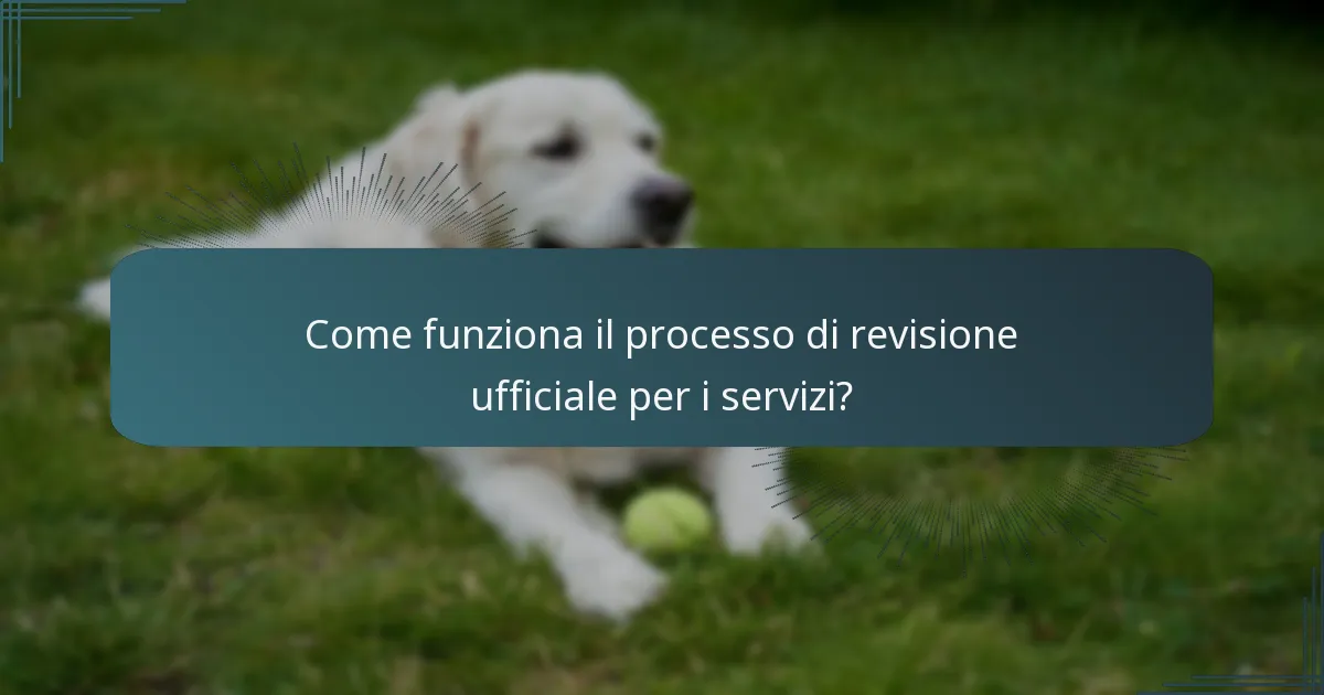 Quali sono le regole chiave che disciplinano i servizi nel tennis?