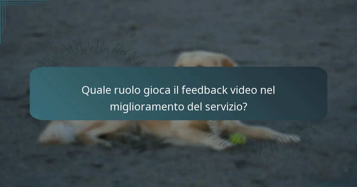 Quale ruolo gioca il feedback video nel miglioramento del servizio?