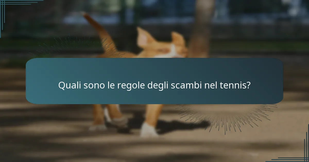 Quali sono le deduzioni di punti nel servizio di tennis?